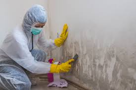 Best Mold Removal for HVAC Installations in Greencastle, PA